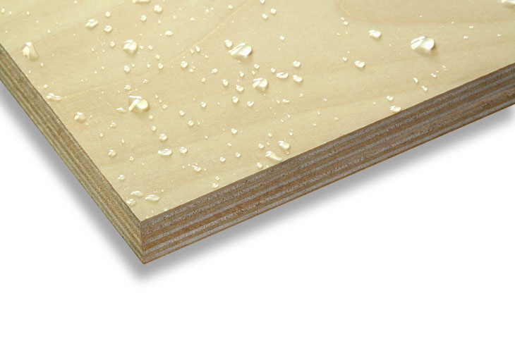 A closeup up of a premium coated birch dieboard